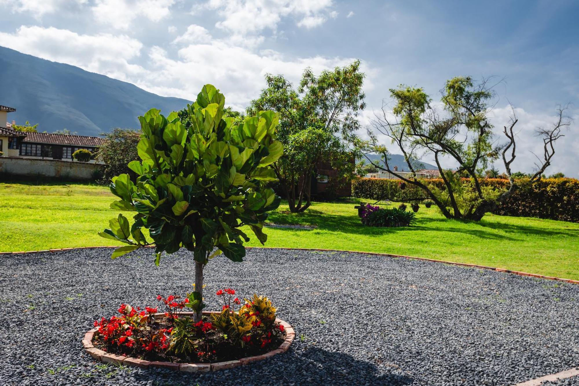 Casa De Las Flores Villa de Leyva Ngoại thất bức ảnh