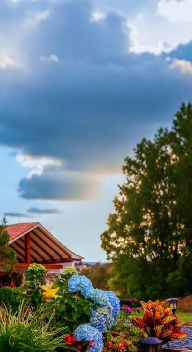 Casa De Las Flores Villa de Leyva Ngoại thất bức ảnh